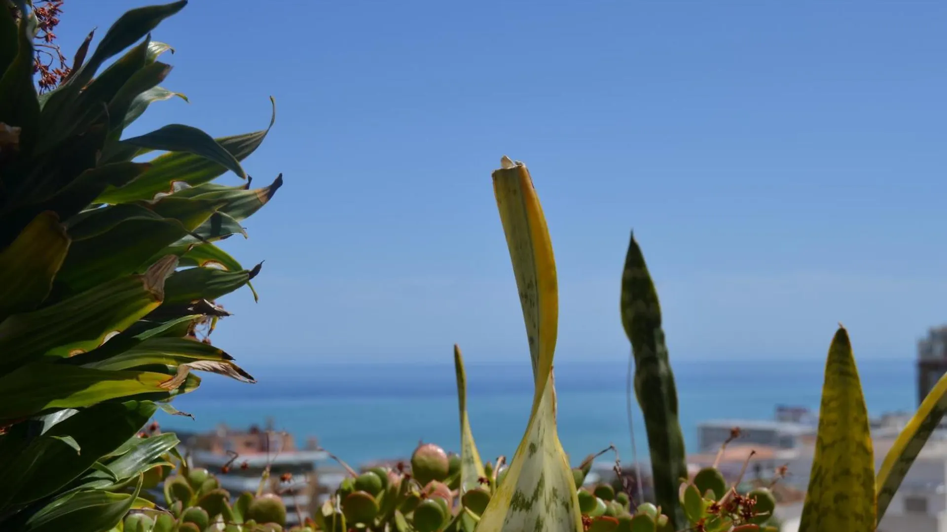 Light-Filled Apartment With Sea Views Torremolinos